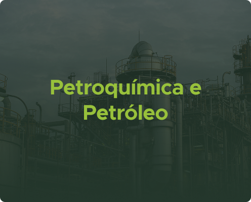 Petroquímica e Petróleo